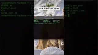 How to exit Vim editor? #shorts