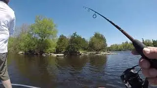 GAR PIKE, AND BASS (with some fails)