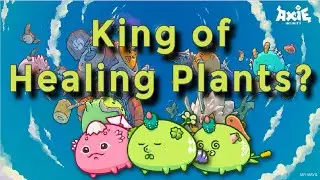 Top Rank Double Plant Team | Features a Midlane Axie with Forest Spirit |