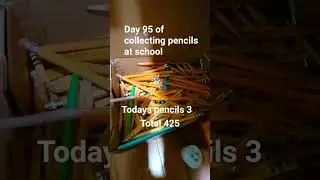 collecting pencils at school day 95