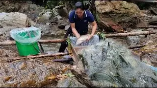 Simple ways to catch fish, catch fish with bare hands, use traps to catch fish | Mai Hieu.