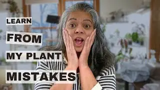 Don&rsquo;t Make These Common Houseplant Mistakes | Care Tips