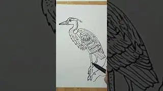 #Short How to Draw Great Blue Heron