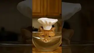 🔥😂Cat Cooking #cat #funny #catcooking #shortsfeed