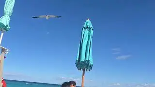 Paradise island Royal beach club Luxury Travel by Valentina 5613359459 