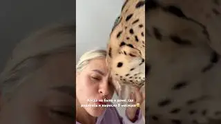 Радостная, довольная и совершено не агрессивная🥹 Кто понял про кого я?