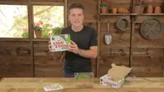My Living World Ladybird Home Kit | Hobbycraft