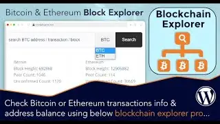 Blockchain explorer pro