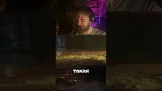 здравые пауки