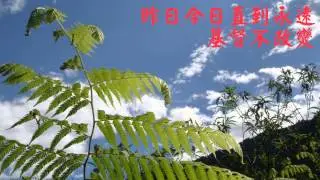 6 昨日今日直到永遠(精典聖歌100首5救贖恩典)