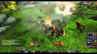 Mop Beta Touch of Death (monk)