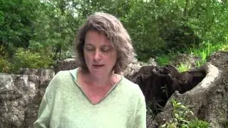 Laura Walker &laquo;&nbsp;The Write Stuff