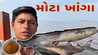 આજે  મોટા ખાંગા પકડ્યા અને ગૂમલા નું શાક બનાવ્યું 🥗🐋🚣🏿‍♂️