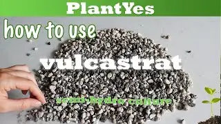 Vulcastrat: what is it and sharing my experiences