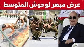 شاهدوا العرض القوي للكوكسول الجزائري 