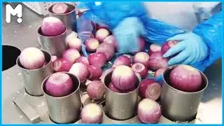 How It's Made Sliced Onion - Red and Yellow Onions Farming Agriculture - Diced Onion Processing Line