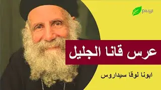 عرس قانا الجليل - القمص لوقا سيداروس Wedding in Cana of Galilee - Father Luke Cedaros