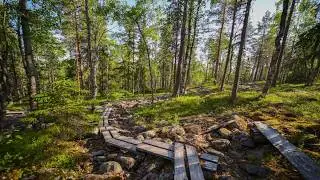 Salaper&auml;inen Alkkianvuori &ndash; retki Pirkanmaan er&auml;maahan!