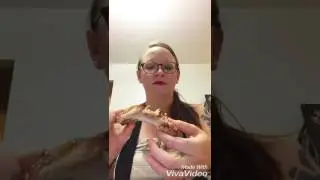 LipSense Challenge