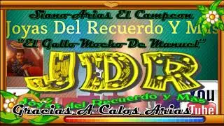 Siano Arias ''El Gallo Mucho De Manuel''