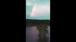 Lake Piney Z Tallahassee Florida #shorts #shortsvideo #art #best #drone #dji #nature #beautiful