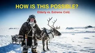 &ndash;71&deg;C How Elderly Strength Protected Animals in Extreme Cold