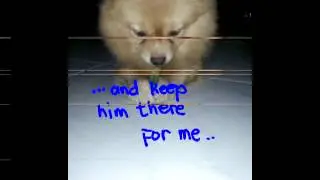 Remembering enzo