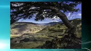 CFJC Midday - Dec 02 - Chris Harris: Photographer & Author