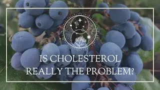 Is Cholesterol REALLY the problem?