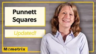 What is a Punnett Square? (Updated!)