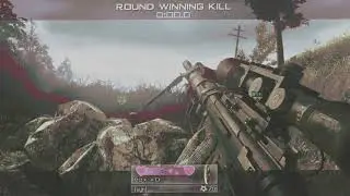 Jolene. (editor appclip)