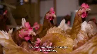 BeEko & Ekolo&scaron;ka kmetija Paldauf, zgodba o prehodu v ekolo&scaron;ko kmetovanje.