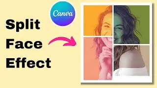 How To Split face to 4 different color and texture | Photo Manipulation | Canva Tutorial