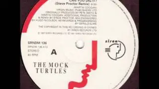 can you dig it steve proctor mix