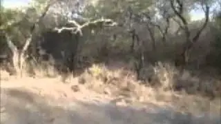 La Tentacion .- Las Sachaguitarras Atamisqueñas