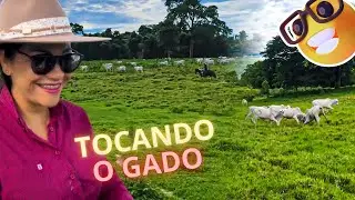 O CAVALO ME JOGOU NO CHÃO