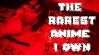 The Most Rare and Expensive Anime in My Collection