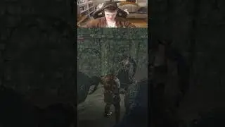 Welskiy Нашел Скоротку  #twitch #twitchmoment #darksouls #welskiy