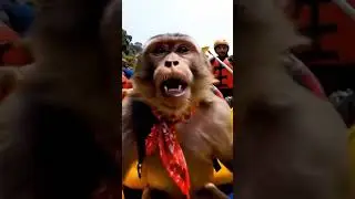 Bablu blogger monkey AI video #monkeyai
