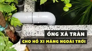 Hướng dẫn làm ỐNG XẢ TRÀN cho hồ cá ngoài trời SIÊU NHANH SIÊU DỄ | Guppy Diary