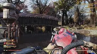 Fallout 76 Forest Treasure Map 6