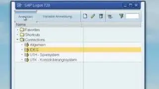 1. Navigation in SAP ERP - Grundlagen