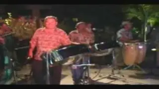 Reel Ting - South Florida Reggae Band for Hire