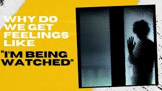 Why do we get feelings like &ldquo;I am being watched&rdquo;
