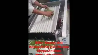 MX3-16M peas, green bean peeling shelling machine, peeler sheller thresher, huller