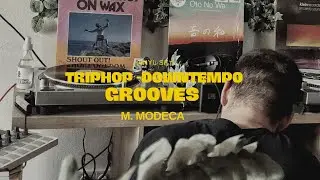 Trip Hop - Downtempo Grooves (Vinyl Set)