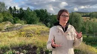 Stenbergan linnavuori, Masku (Varsinais-Suomi)