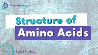 Structure of Amino Acids - Biochemistry