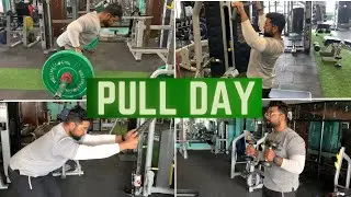 Full Body Pull Workout | Back and Bicep Pull Workout | Beginner Pull Workout