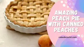 Amazing Peach Pie With Canned Peaches